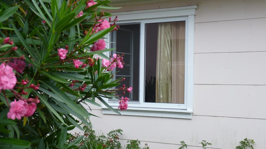 Azores Garden House - Private Suites & Apartments - Automatic Self Check-In Понта-Делгада Екстер'єр фото