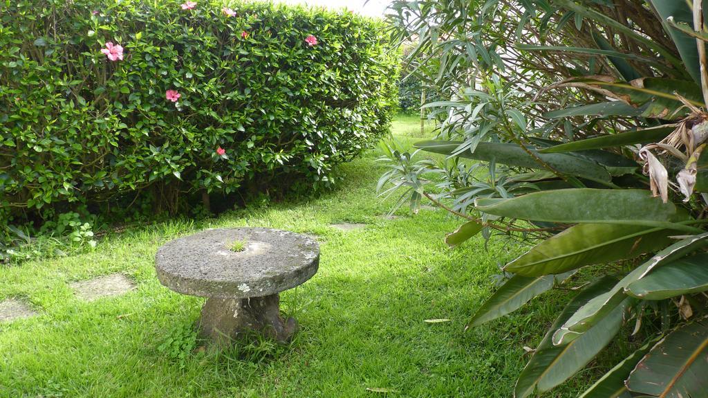 Azores Garden House - Private Suites & Apartments - Automatic Self Check-In Понта-Делгада Екстер'єр фото