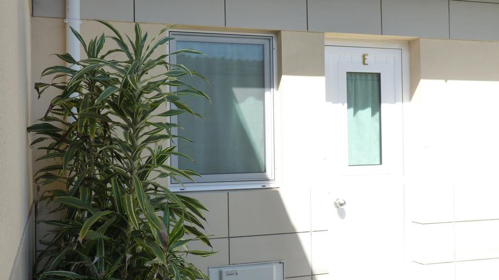 Azores Garden House - Private Suites & Apartments - Automatic Self Check-In Понта-Делгада Екстер'єр фото