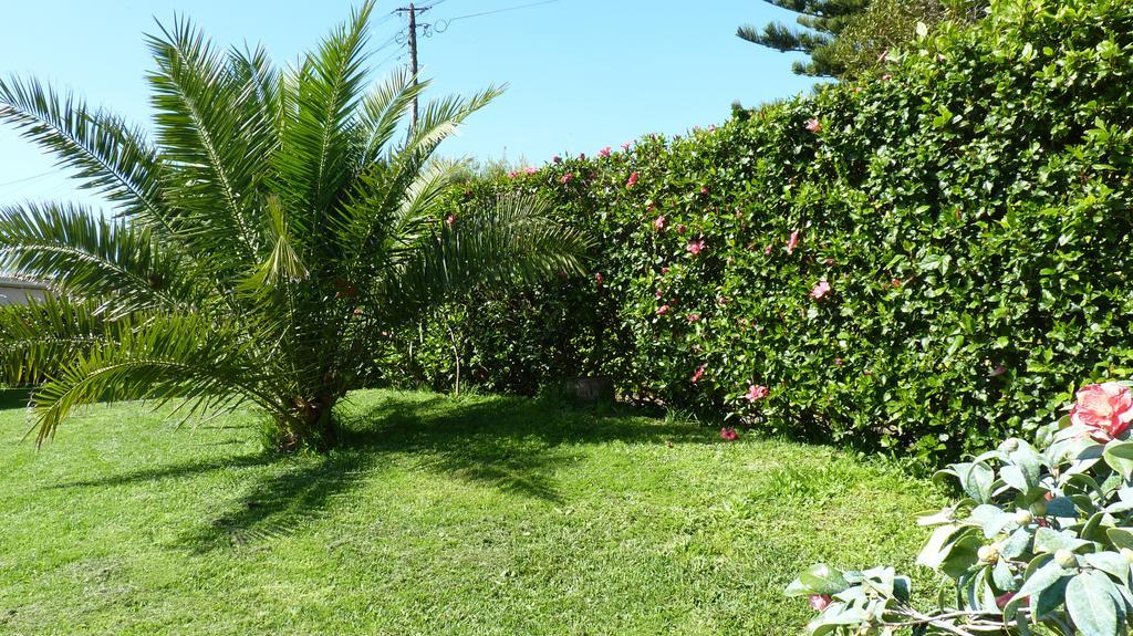 Azores Garden House - Private Suites & Apartments - Automatic Self Check-In Понта-Делгада Екстер'єр фото